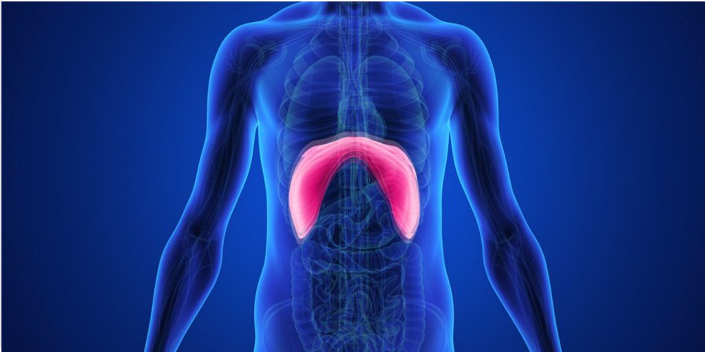 Los datos que seguro no conocías sobre el hipo 