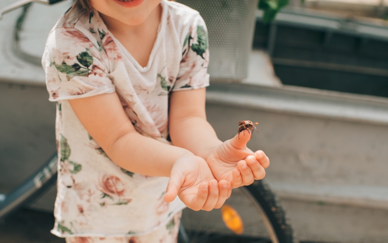 ¿Funciona el vinagre para combatir a las avispas?