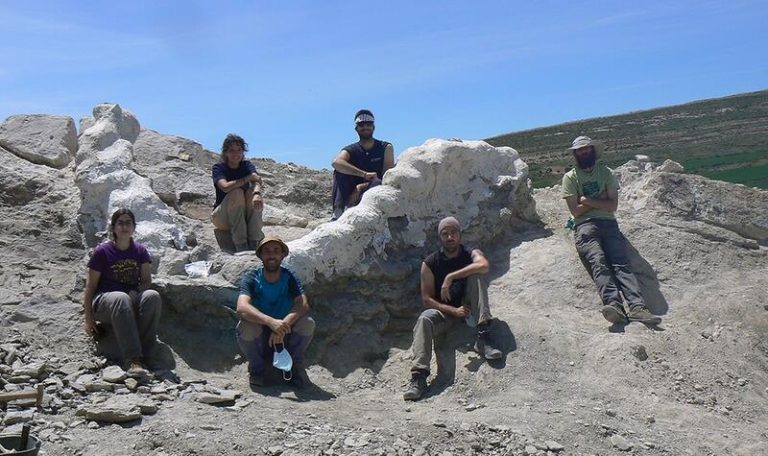 Recuperada una columna vertebral de un dinosaurio gigante en Teruel