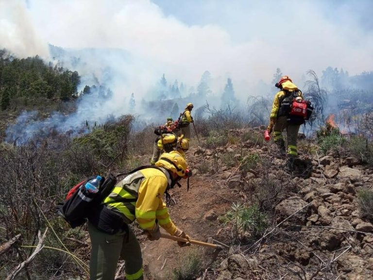 Canarias recibirá 300.000 euros para paliar los daños del incendio de Arico