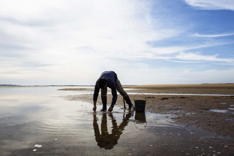 Relais & Châteaux, una oda al marisco de concha en el World Oceans Day