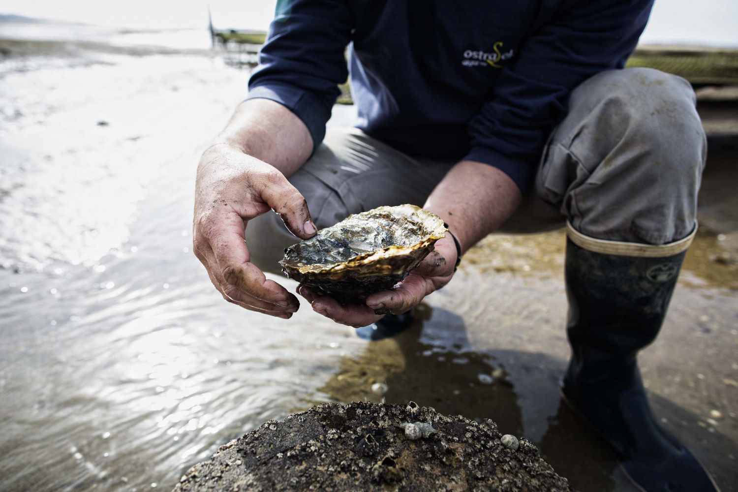 Relais & Châteaux, una oda al marisco de concha en el World Oceans Day 6 Marisco
