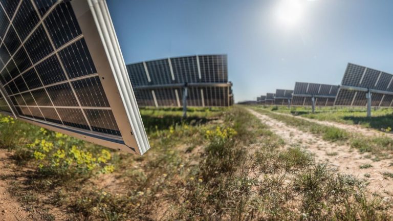 BP adquiere 703 MW solares a Grupo Jorge