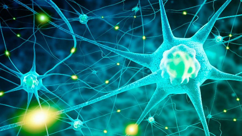 Cómo aumentar tu inmunidad después de la vacuna de la Covid 46 Cuida tus hormonas luego de la vacuna