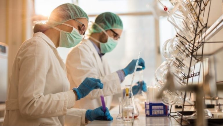 Diseñan nanocápsulas de aceite de oliva inteligentes eficaces frente a células madre cancerígenas