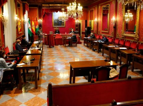 El grueso de los ediles de Granada