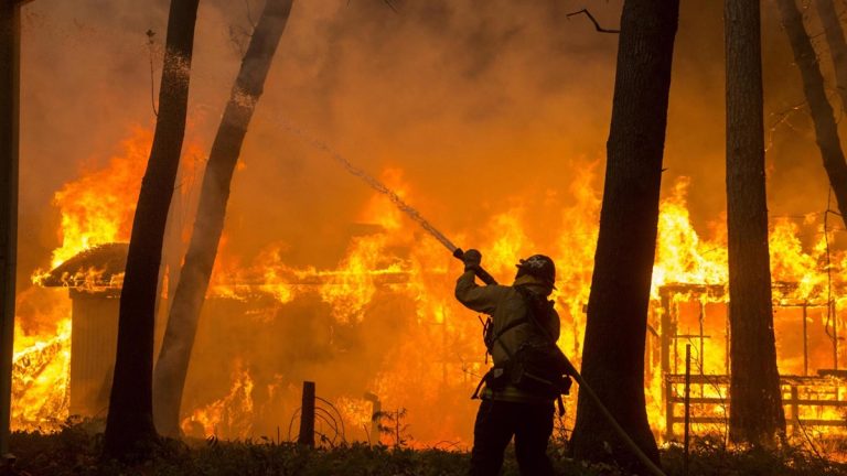 El sector de la extinción piden elevar la concienciación y nuevos modelos forestales