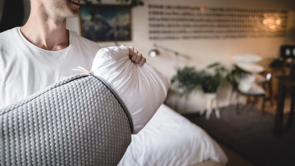 Ácaros del polvo y su excremento