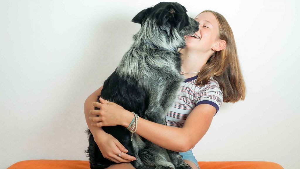 ¿Por qué los perros lamen a las personas?