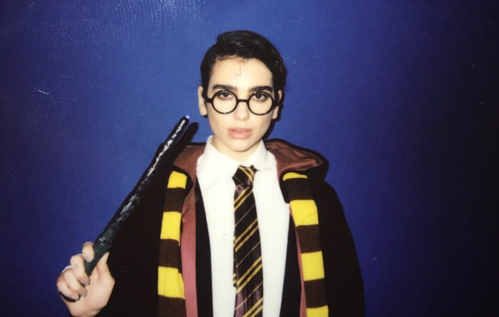 Gran amante de Harry Potter