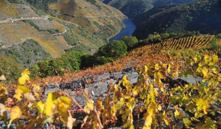 La candidatura de la Ribeira Sacra a Patrimonio Mundial queda aplazada