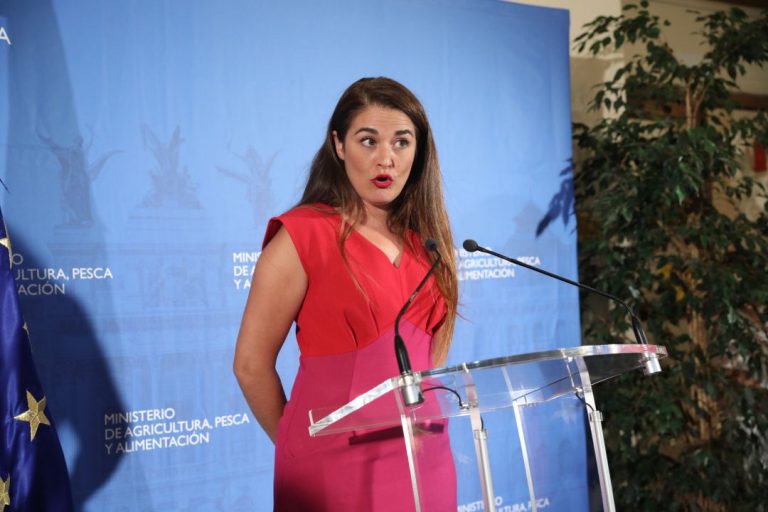 Valencia refuerza la protección de la posidonia con un decreto que regula las actividades