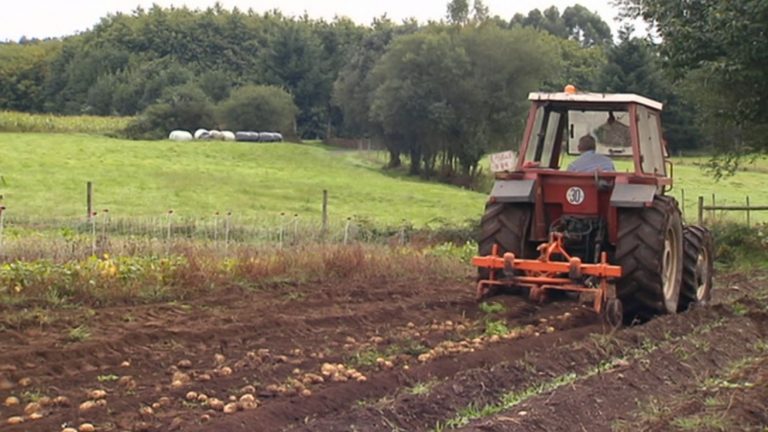 CCOO de Industria celebra el principio de acuerdo de reforma de la PAC