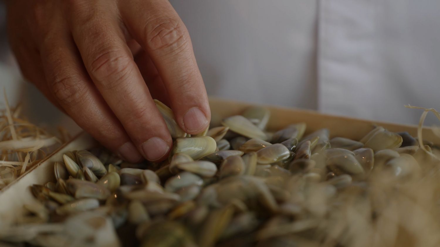 Relais & Châteaux, una oda al marisco de concha en el World Oceans Day 5 Marisco