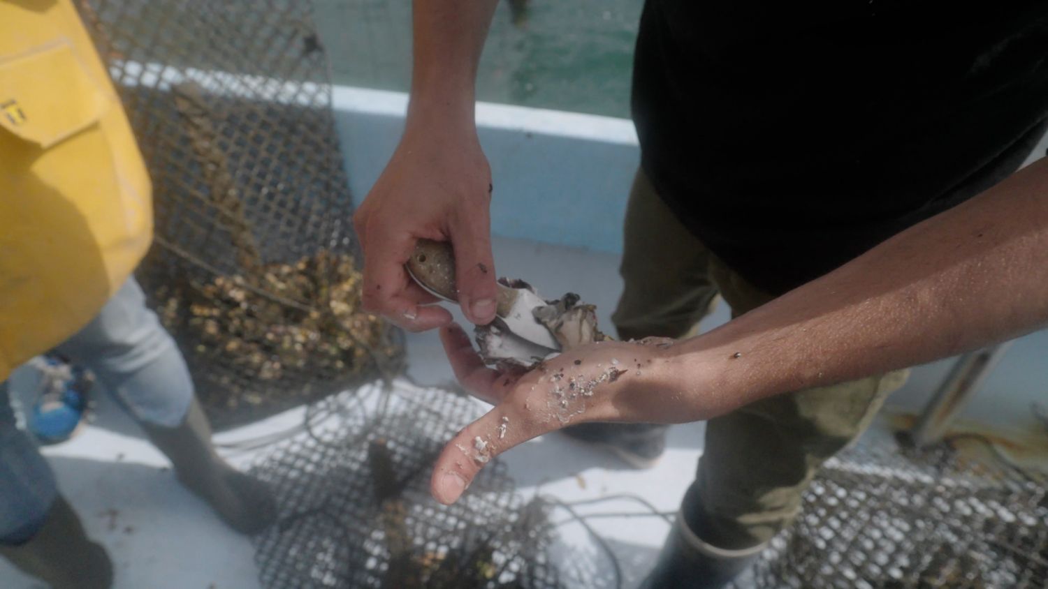 Relais & Châteaux, una oda al marisco de concha en el World Oceans Day 4 Marisco