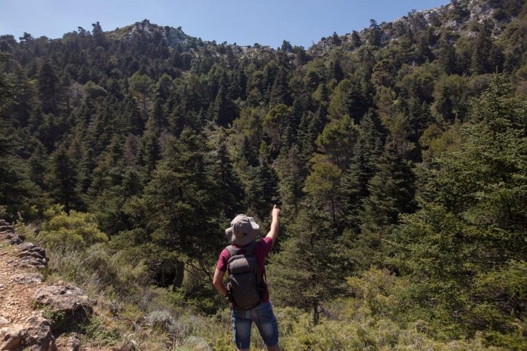 El Senado aprueba en comisión la declaración del Parque Nacional de la Sierra de las Nieves