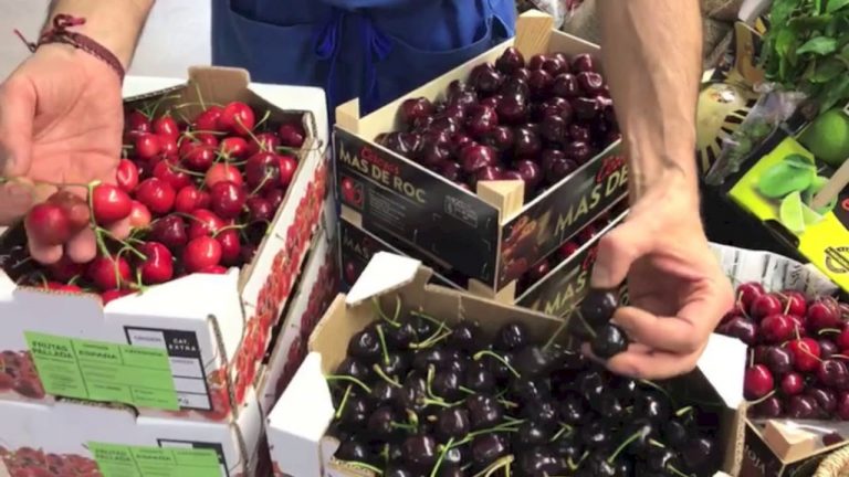 Picotas o cerezas, ¿cuáles son más dulces?