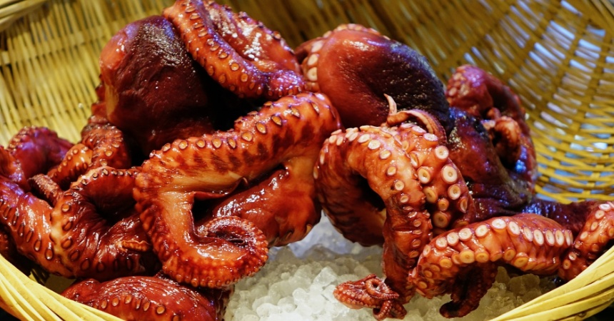 pulpo frio