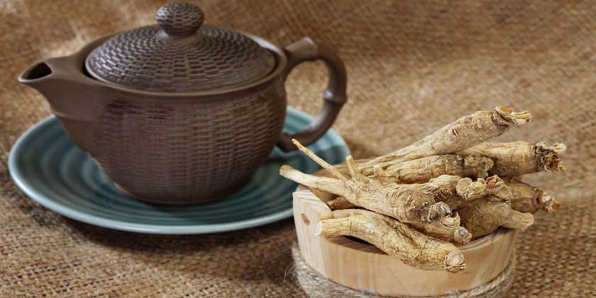 Qué es el ginseng