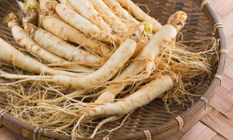 Qué es el ginseng