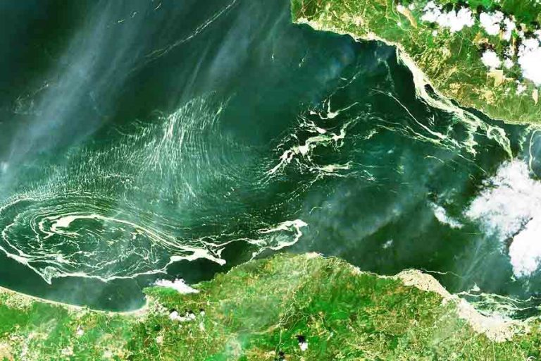 Qué es el moco marino