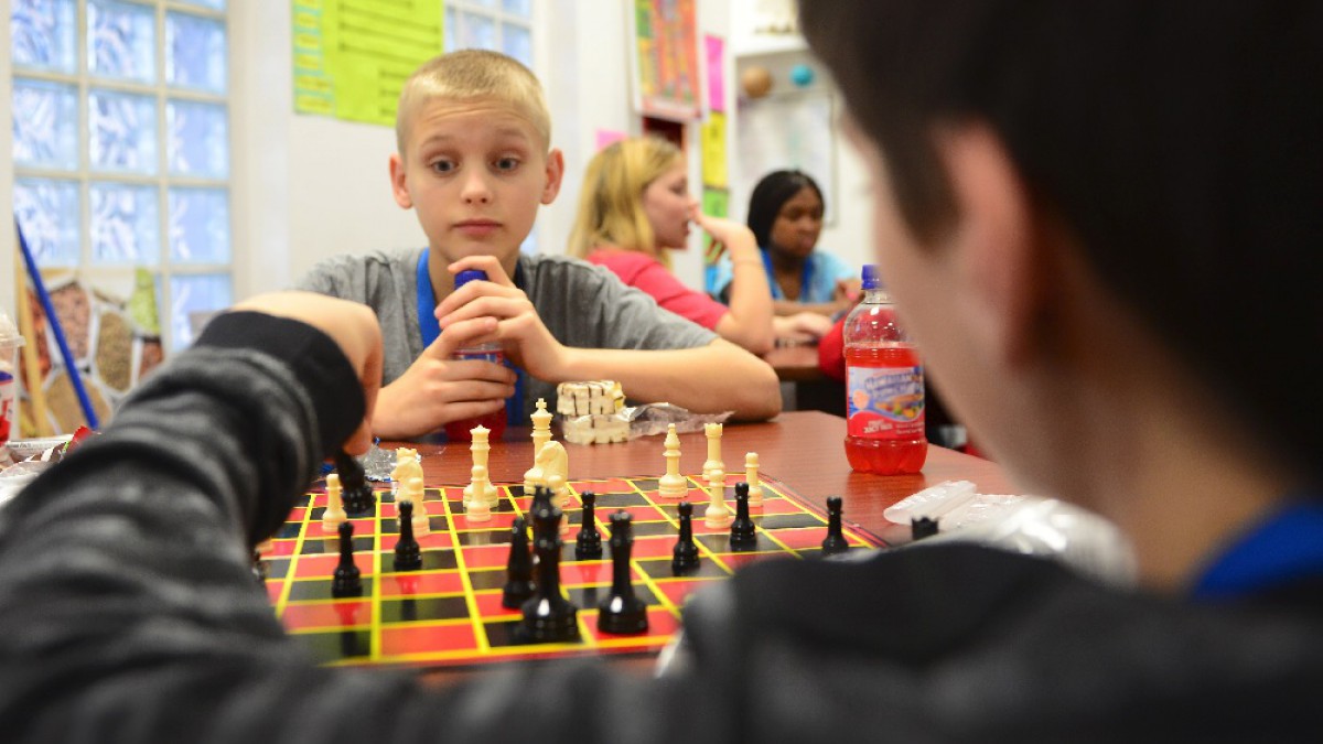 Discapacidad intelectual