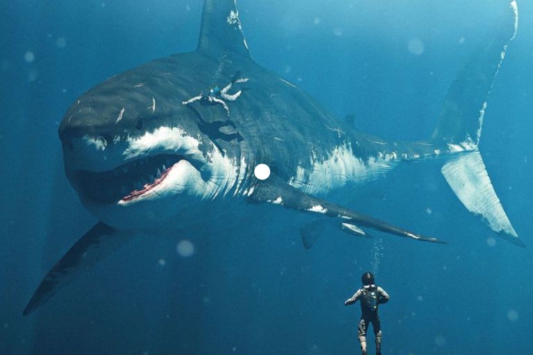 Qué es un megalodón