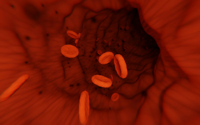 Qué son los hematocritos 2 Qué son los hematocritos