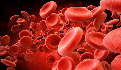 Qué son los linfocitos