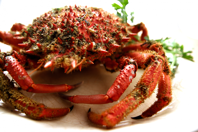 De la lonja a la mesa: Sal y Laurel, el mejor producto gallego a solo un click