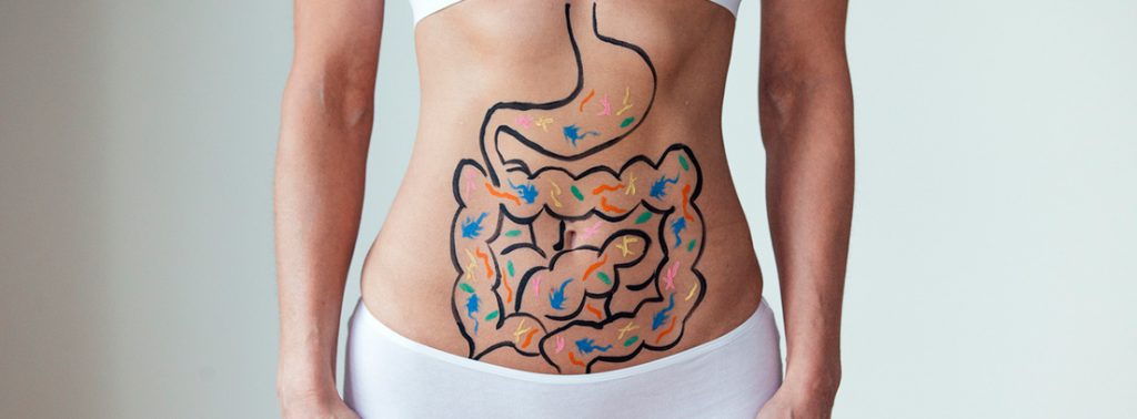 Sandía: señales de que mejora tu salud y no te das cuenta 56 Digestión y regularidad