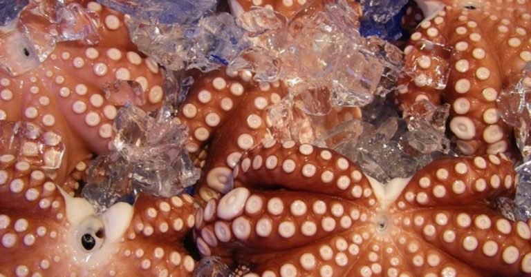 Trucos para calentar el pulpo cocido y que no se ponga duro