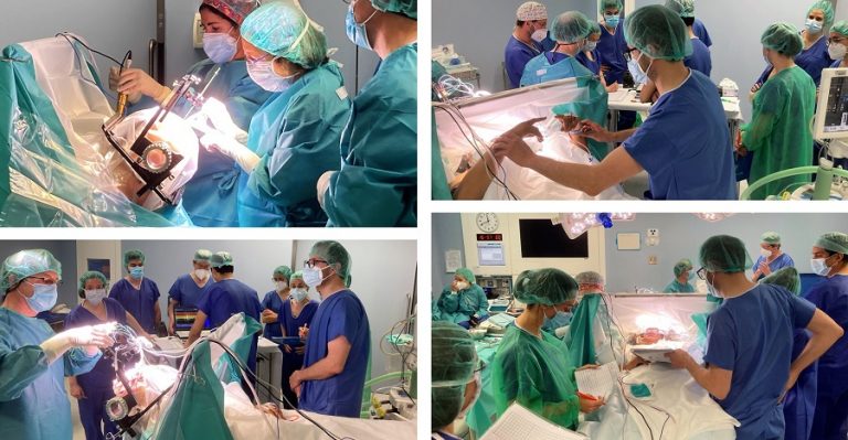 Estimulación cerebral, soluciones ‘profundas’ frente a los temblores y otros problemas neurológicos