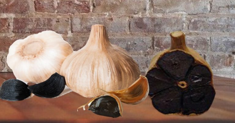 Ajo negro: cómo hacer en casa la moda gastronómica que triunfa en todo el mundo