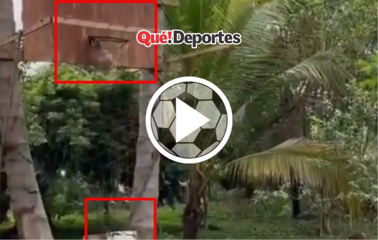 Increíble máquina para jugar baloncesto