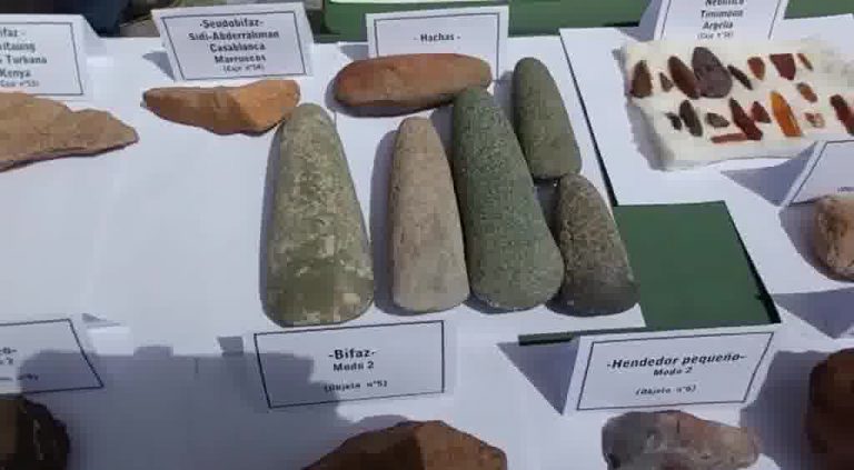 Investigada una persona en La Línea poseedora de una colección de restos prehistóricos