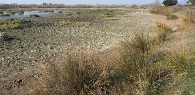 WWF reclama un cambio en la gestión del agua y el suelo en España y Portugal