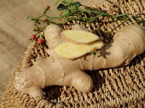 Jengibre Jengibre