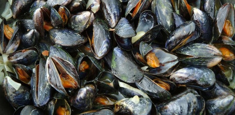 mejillones