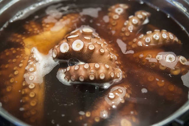 pulpo