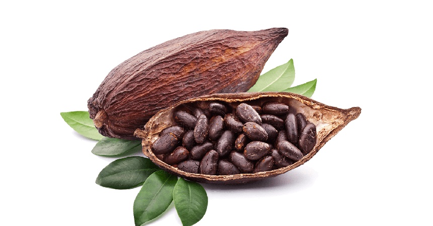 vinagreta de cacao (