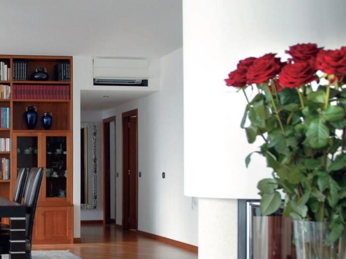 ¿Qué opciones tengo?