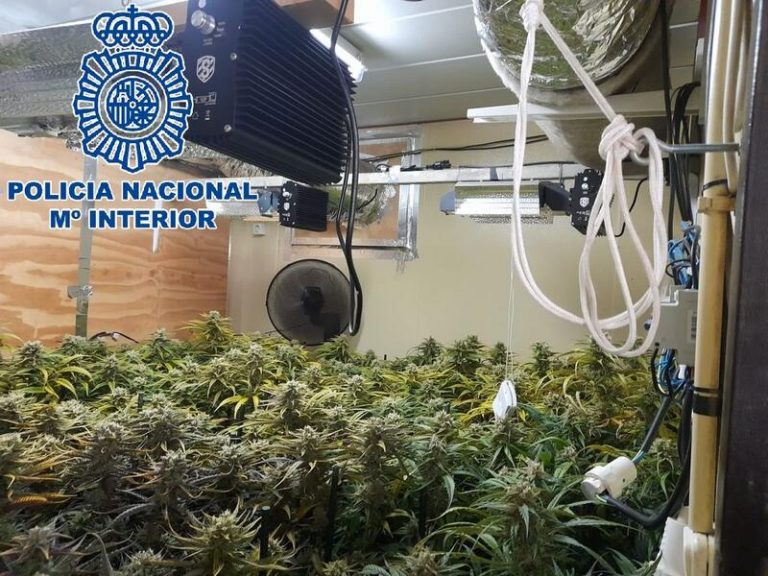 La Policía desarticula el 'Clan de los Coquinas'