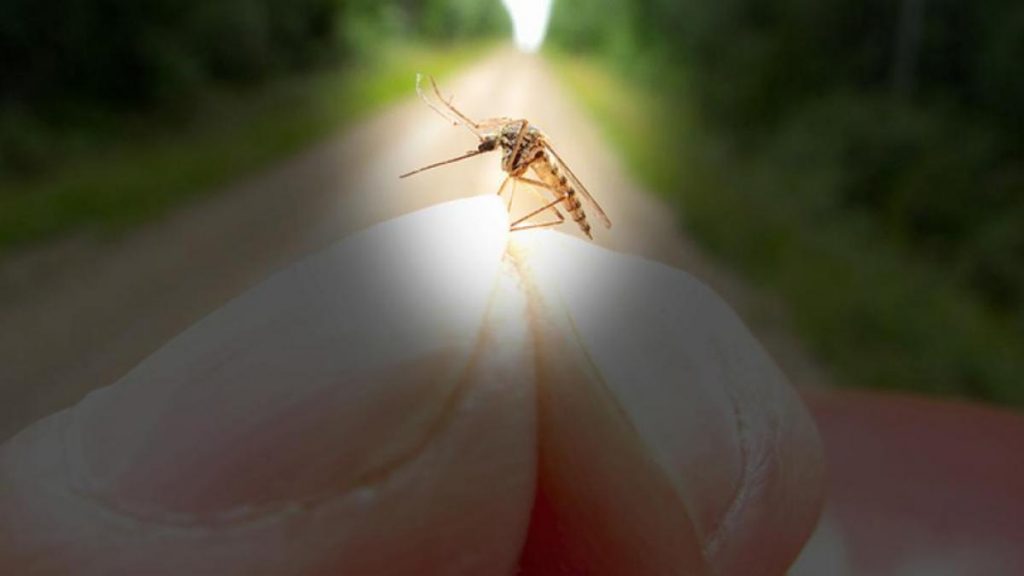 Cómo usar el repelente de mosquitos para que te proteja más 3 Repelente de mosquitos que puede usar