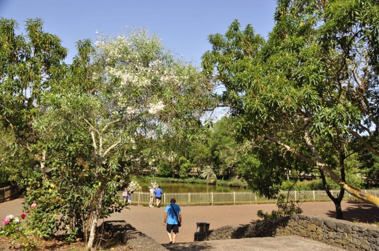 Abierto el plazo para optar a los Planes de Sostenibilidad Turística en Destinos