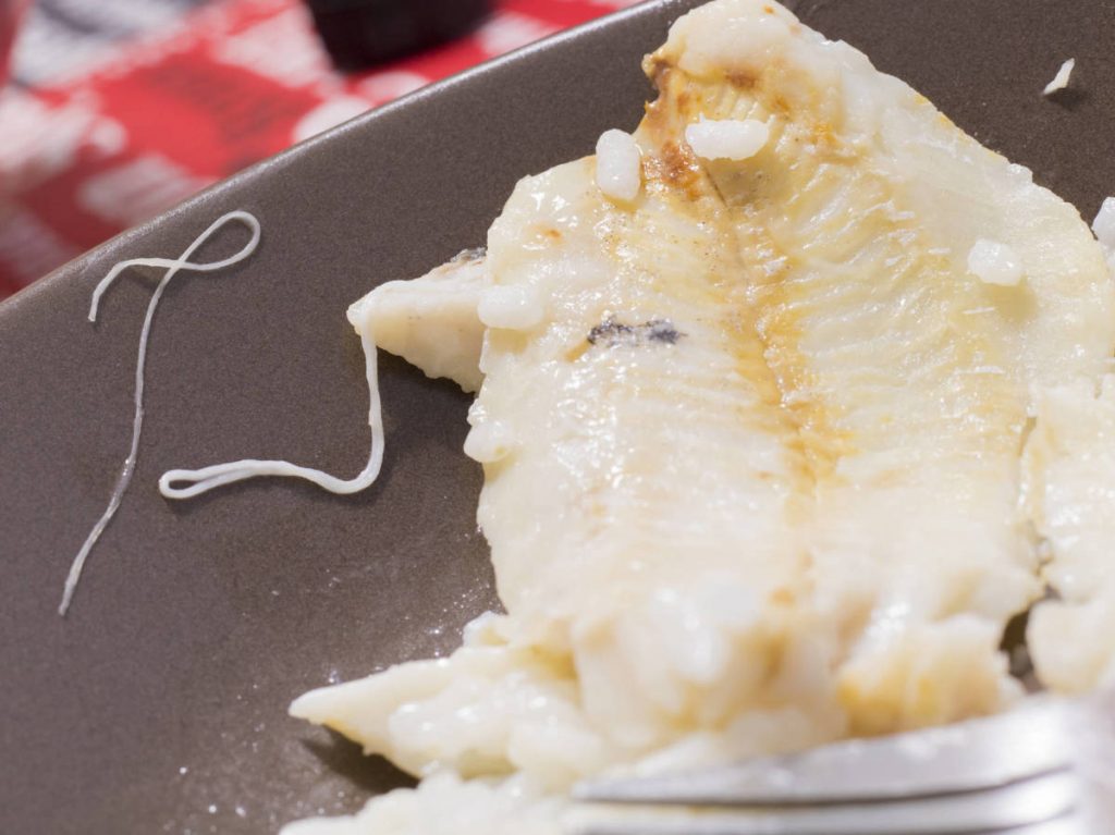 Anisakis: qué es y cómo prevenir que lo cojas 19 ¿Qué es el Anizakis?