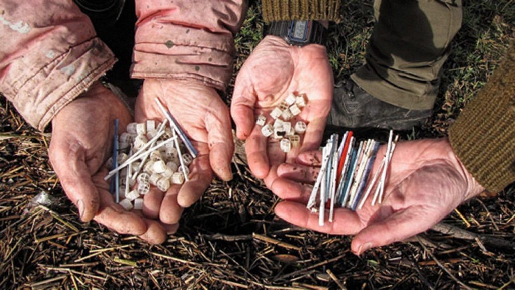 Los bastoncillos de los oídos un problema ambiental