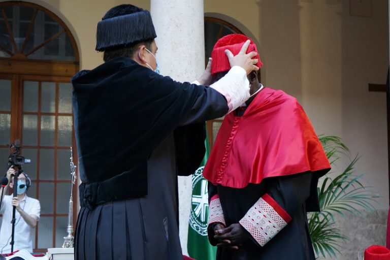 Cardenal Sarah: 