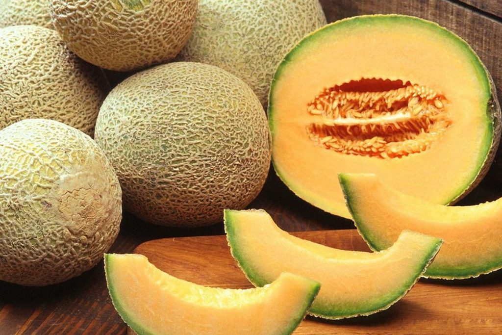 ¿Quiénes son los países que más exportan el melón?