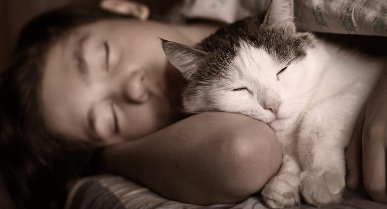 Cómo hacer que tu gato duerma de noche